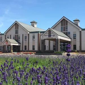 3* ホテル Spa&hotel ふらのラテール